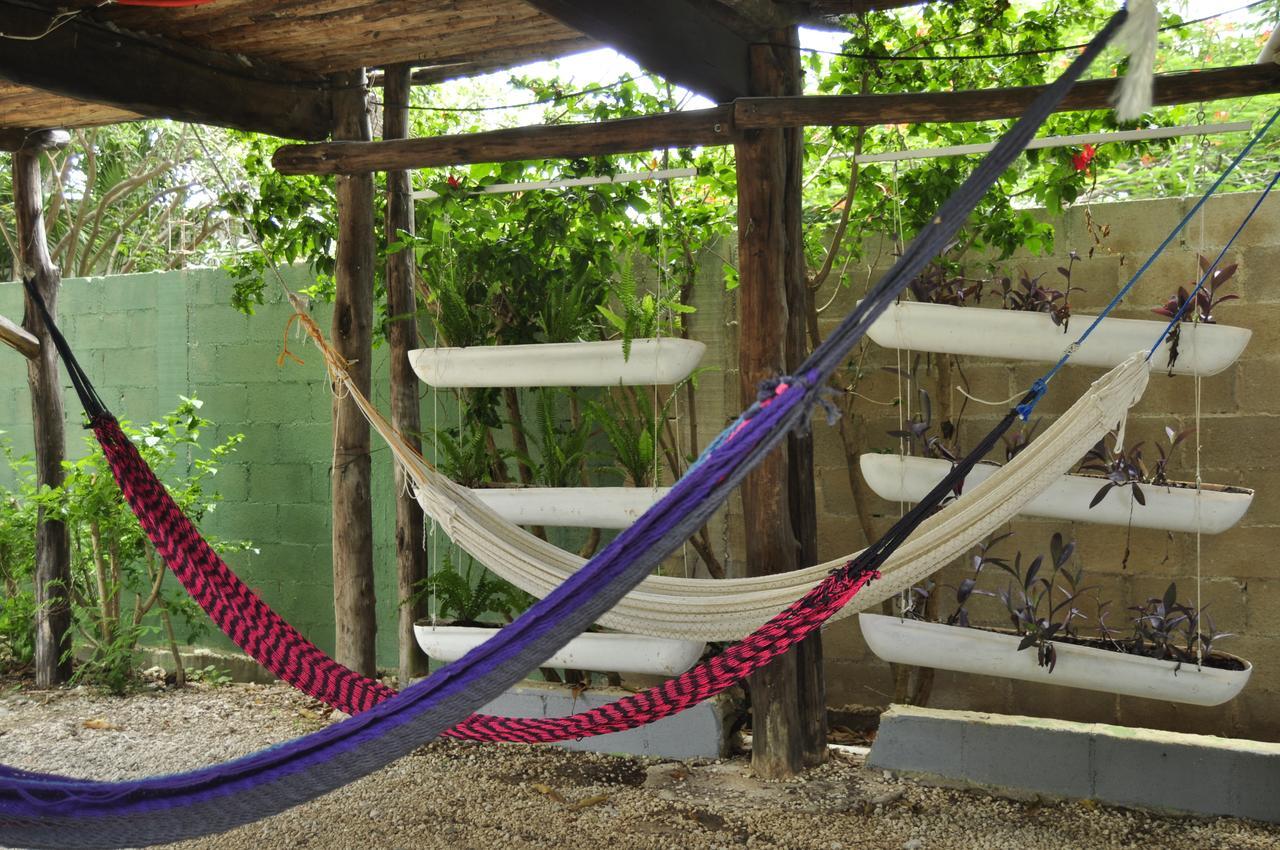Lobo Inn Tulum Eksteriør bilde